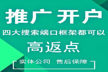 行业首例：SEM竞价优化案例的成效与启示